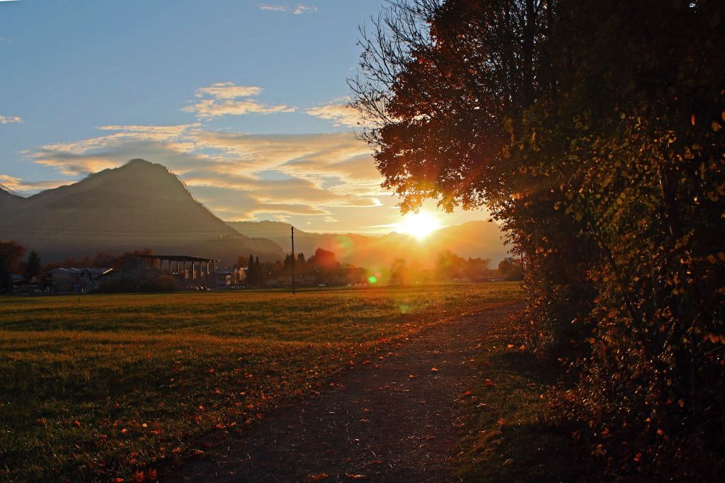 〈我們何其幸運〉