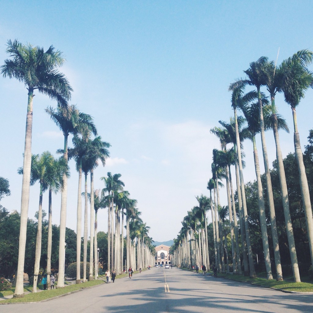 給雨季裡獨自撐傘騎車的人