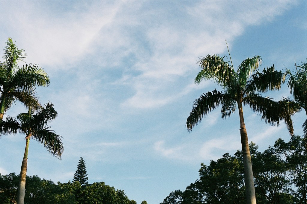 回去那一天的比賽