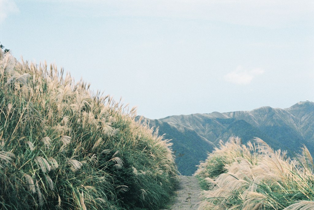 懷抱願望的時節
