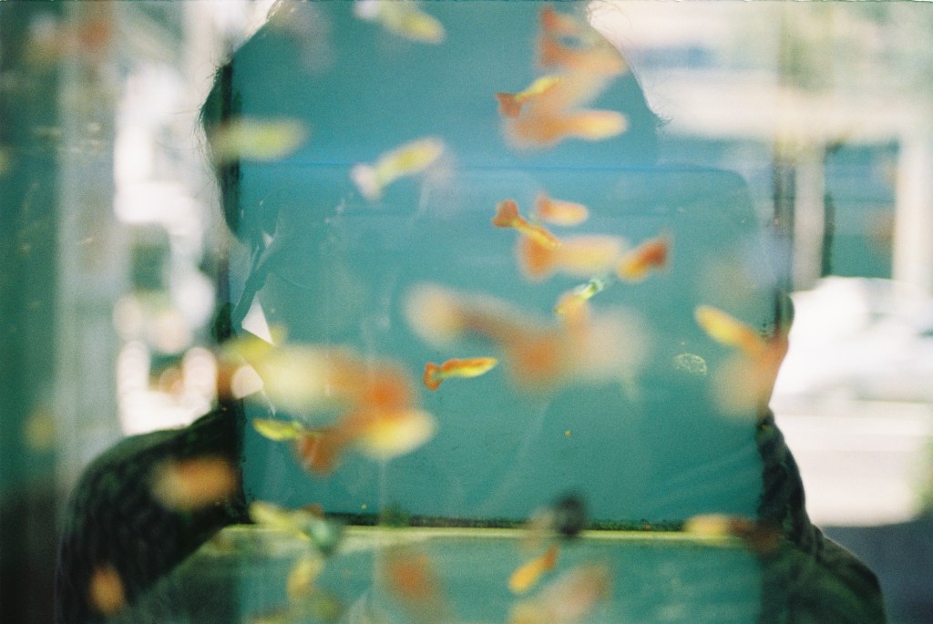 隨筆｜被看見：2018金曲獎觀後感