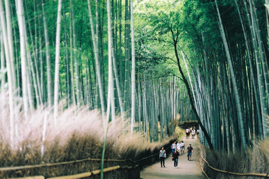 【底片】嵯峨野嵐山一日散策