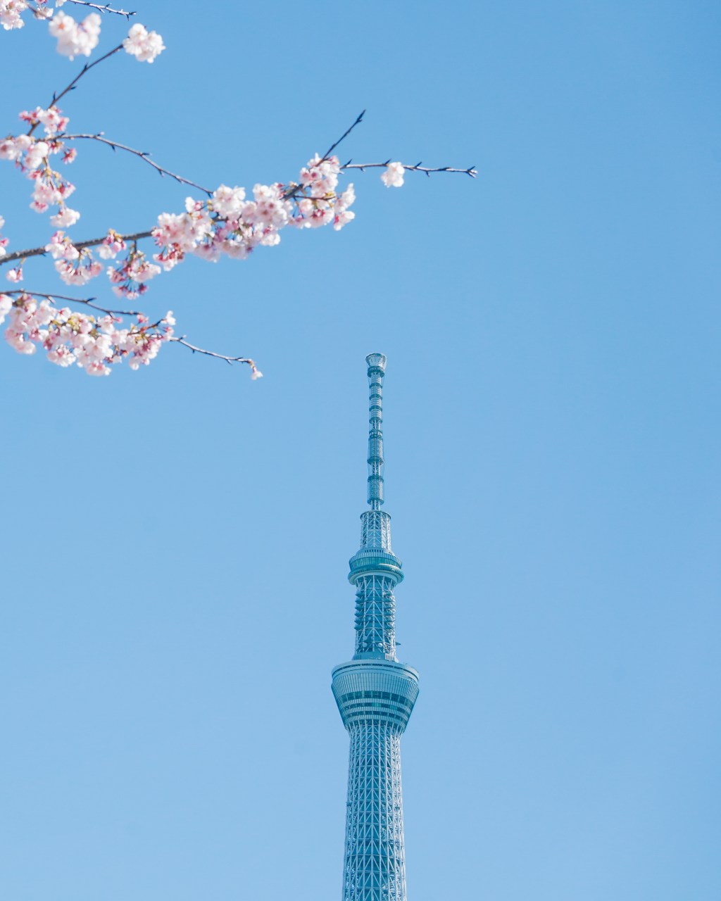 受保護的文章：東京散步指南｜中目黑、奧澀谷、豐洲｜feat. HafH , lyf Ginza&nbsp;Tokyo