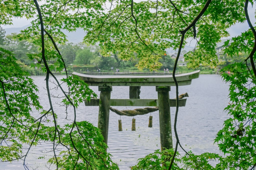 日本福岡北九州：夏日家族旅行遊記 feat. Nikon&nbsp;Zfc